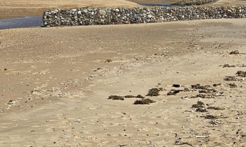 Latest News » Hunstanton Fieldwork Trip