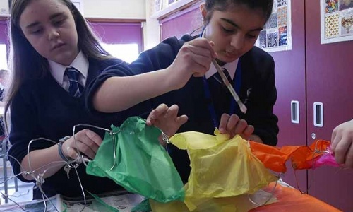Enhancement Activities » Year 7 students create art sculptures as part of a local community project